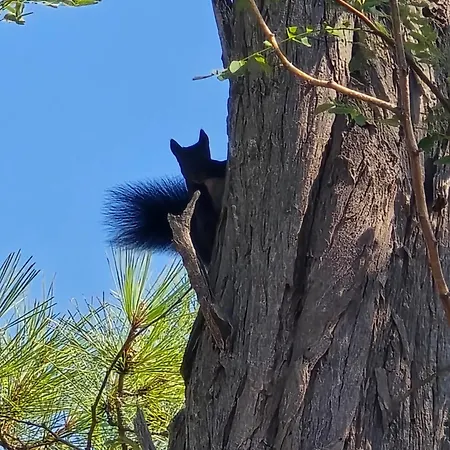 Marine Bliss Savudrija