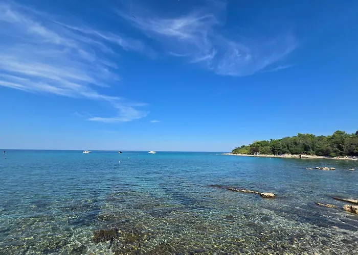 Marine Bliss Apartmán *