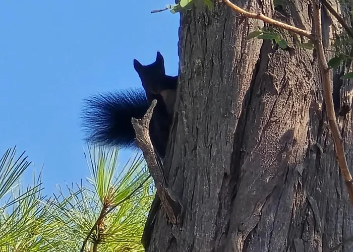 Marine Bliss Savudrija